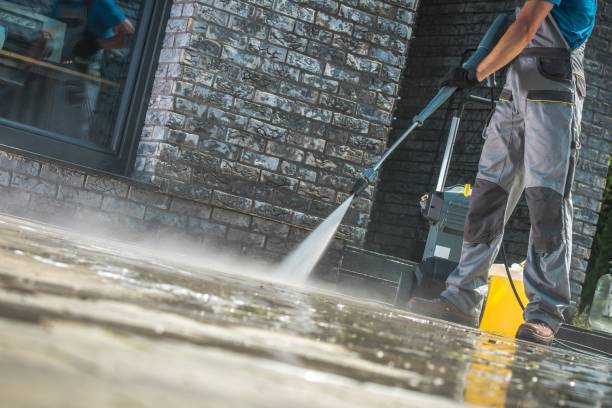 Best Graffiti Removal  in Alton, IA