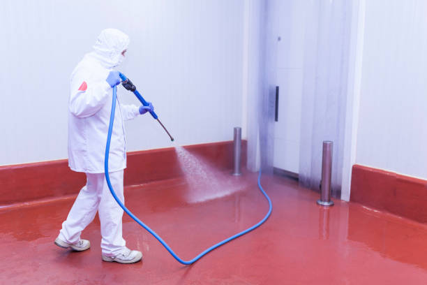 Best Warehouse Cleaning  in Alton, IA