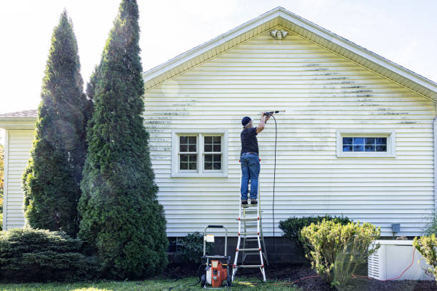 Best Driveway Pressure Washing  in Alton, IA